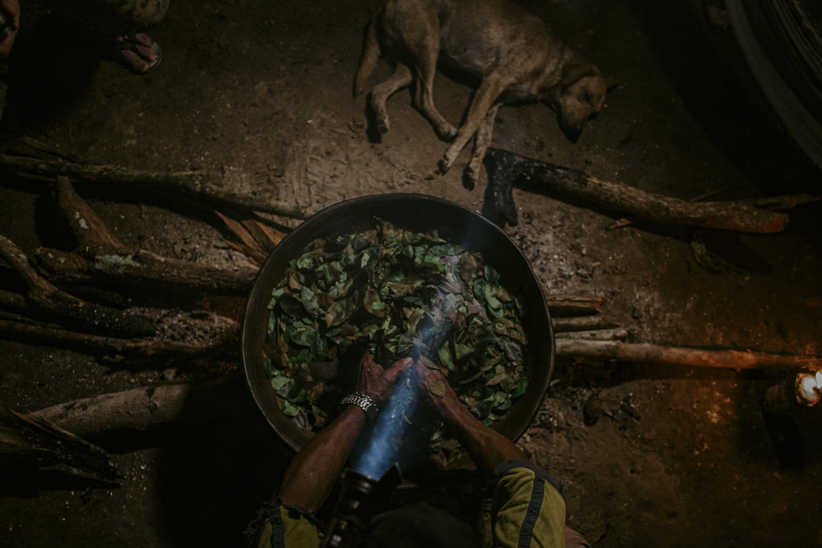 northbound-meraki-coca-mambers-3
