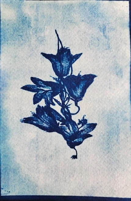 cyanotype-1 poster graphic for comedy course, text and microphone