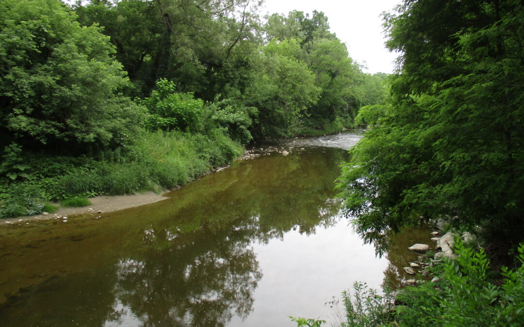 Hshmat – River of Dreams